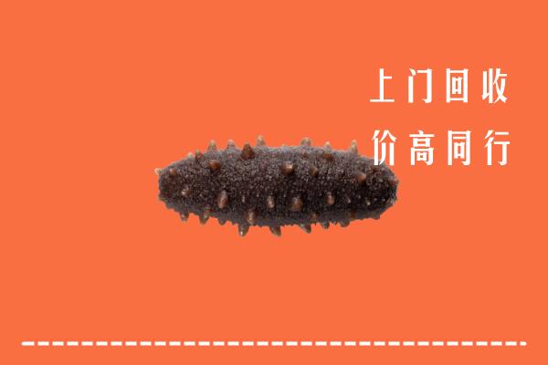 高价求购：黄南州回收海参